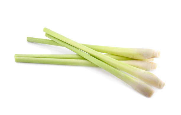 istock Lemongrass isolated on white background 1342617434