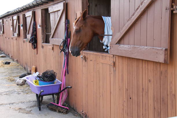 Horse Stables. stock photo