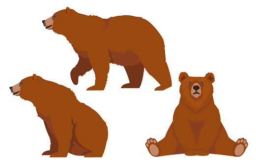 Brown Bear Set. Isolated white. Animals character.