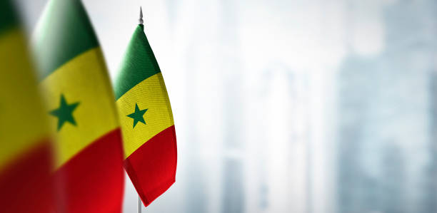 Small flags of Senegal on a blurry background of the city Small flags of Senegal on a blurry background of the city. senegal flag stock pictures, royalty-free photos & images