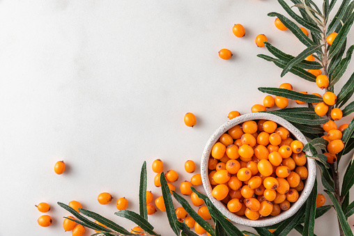 Fresh ripe autumn sea buckthorn berries with leaves on white background. Top view with copy space. Healthy superfood