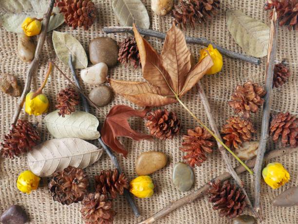 Autumn background isolated on a white marble