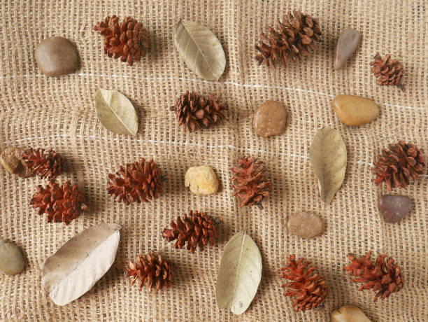 Autumn background isolated on a white marble