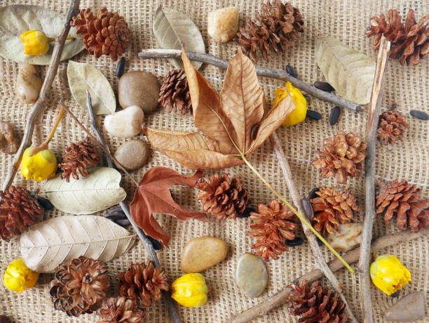 istock Autumn background isolated on a white marble 1342623304