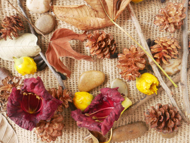 istock Autumn background isolated on a white marble 1342623529