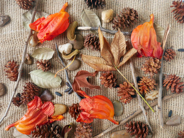 istock Autumn background isolated on a white marble 1342623540