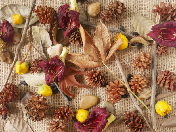 istock Autumn background isolated on a white marble 1342623541