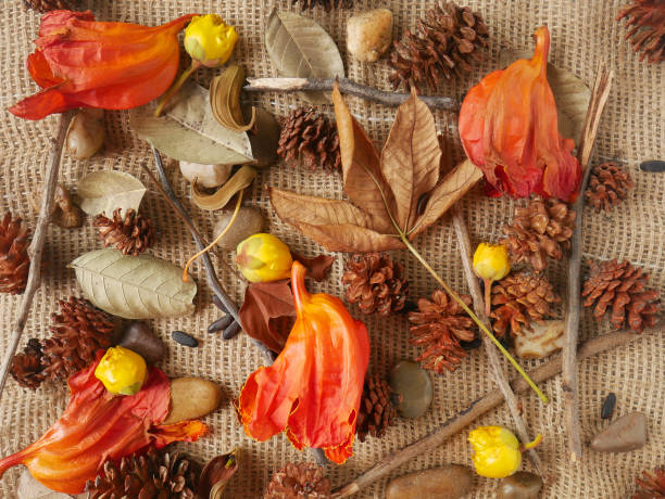 istock Autumn background isolated on a white marble 1342623556