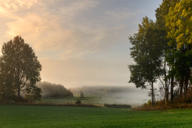 istock Morning over forest and meadow Landscape and nature in Sweden 1342625607