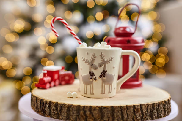 istock Fairy lights background, hot cocoa with marshmallows 1342625684