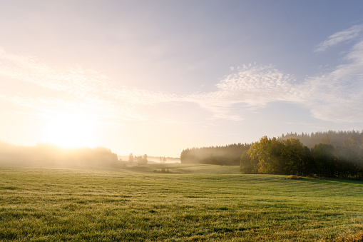 Morning over forest and meadow Landscape and nature in Sweden.\nTrees in the foreground and a meadow with fog in the background, early autumn morning late summer morning. Beautiful nature with beautiful light and colors