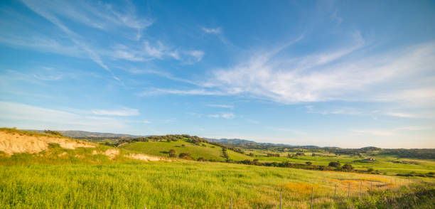 istock Green hills under a blue sky at sunset 1342626838