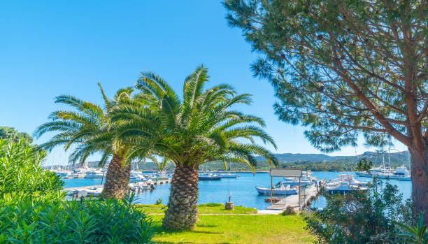istock Small harbor in Cannigione under a blue sky 1342627552