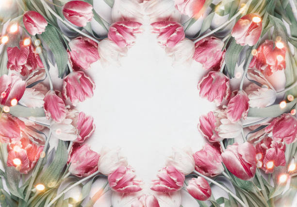 Tulips circle frame background with bokeh. Springtime flowers composition on white, top view. Spring nature and holidays concept.  Layout for greeting card