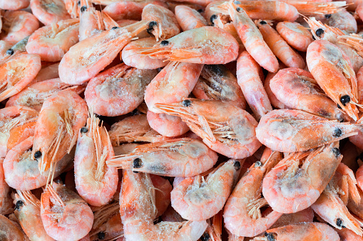 Fresh raw shrimp (Giant freshwater prawn) premium grade can cook to grilled shrimp by grilling with charcoal display for sale at Thai street food market or restaurant in Bangkok Thailand