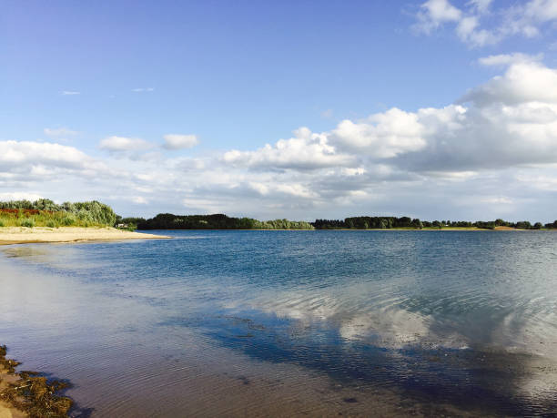istock Strand in Holland 1342632672