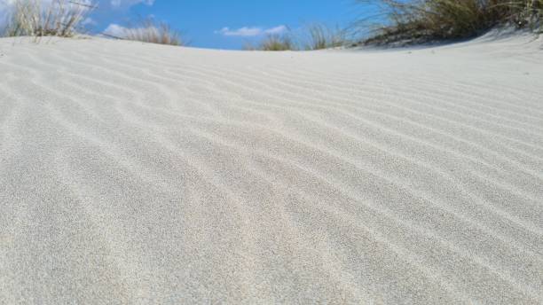 istock Sand dunes in Sardinia 1342648160