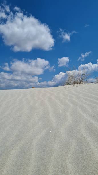 istock Sand dunes in Sardinia 1342648682