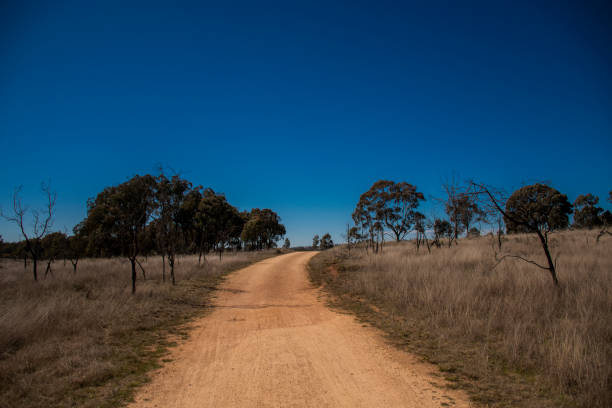 istock Dirt Road in the Rural with Blue Sky 1342659341