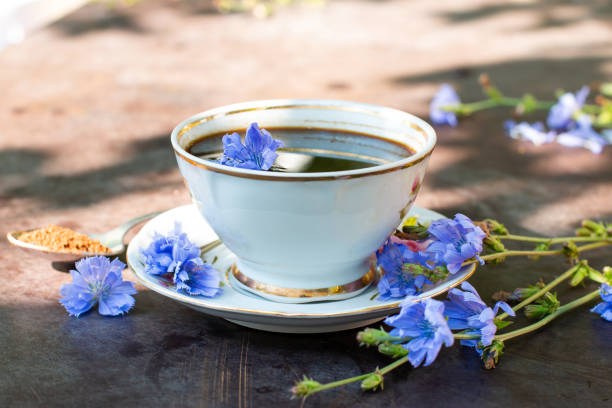 dieta bere cicoria in una tazza - sostituti del caffè, polvere e fowers. messa a fuoco selettiva - succory foto e immagini stock