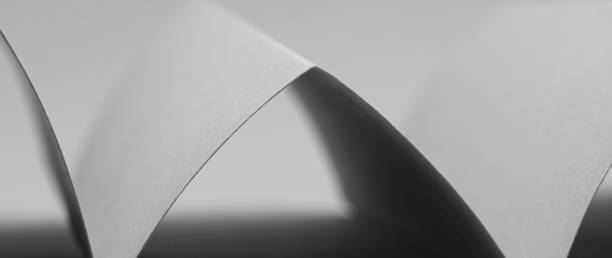 istock close-up black and white paper texture background 1342681441