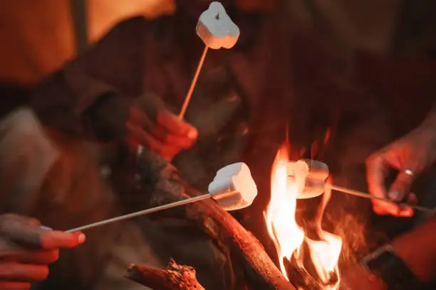 High angle view of people roasting marshmallows on skewers over fire pit at campsite, enjoying outdoor camping glamping holiday with friends togetherness reopen after pandemic lockdown.