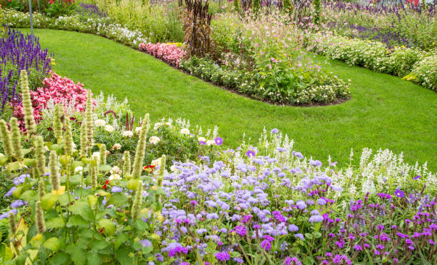 istock Grass path in a beautiful flower garden. 1342705464