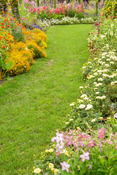 istock Grass path in a beautiful flower garden. 1342705481