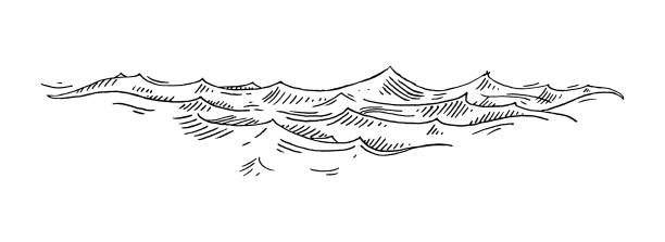 Sea waves. Vintage vector engrave black illustration. Isolated on white Sea waves. Vintage vector engrave monochrome black illustration. Isolated on white background. Hand drawn hatching sea stock illustrations