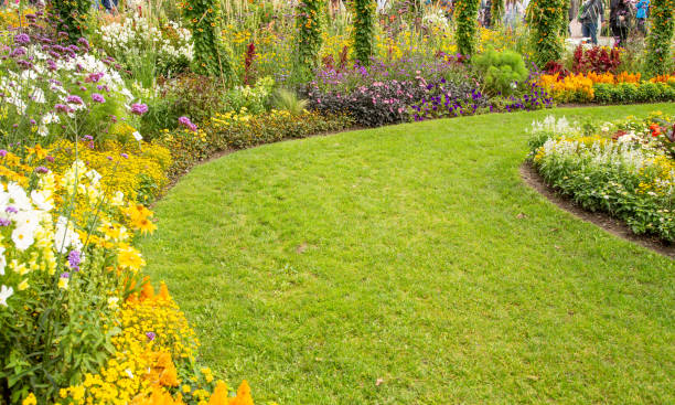istock Grass path in a beautiful flower garden. 1342706847
