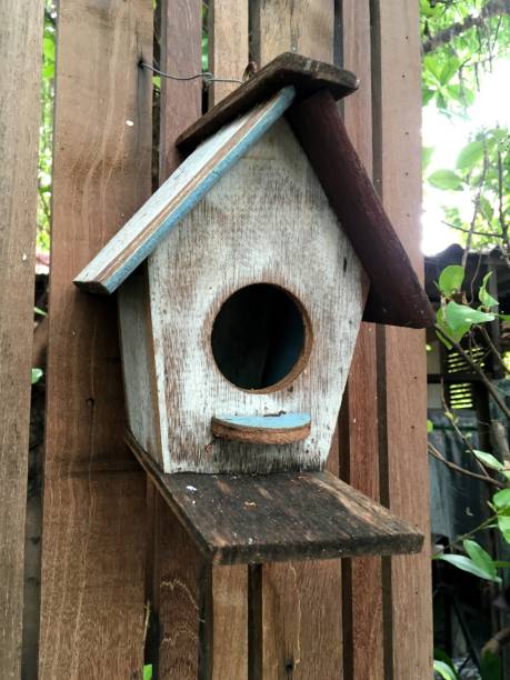 istock bird home in nature garden 1342708470