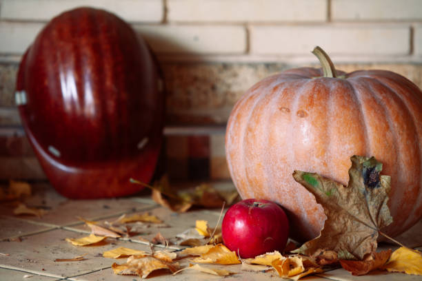 Round pumpkin and apple lie on shelf