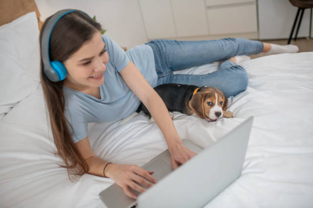 istock Cute puppy lying next to his owner while she watching something online 1342714893