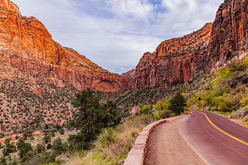 View on Zion-Mount Carmel Highway in Zion National Park, Utah, USA