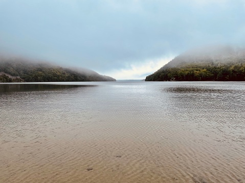 Pond and fog - Acadia NP