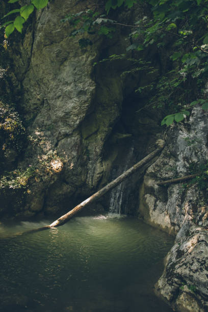 istock Scenic view of waterfall in forested freshwater pool 1342728132