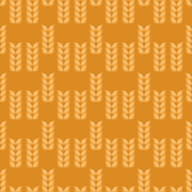 ikony kłosów pszenicy bezszwowy wzór, szkic zbóż.  pszenica organiczna, chleb rolniczy i naturalna żywność, druk piwa słodowego - oat cereal plant oat flake backgrounds stock illustrations