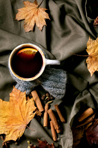 istock Hot mulled wine with spices and autumn leaves 1342784779