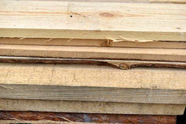istock Pine white construction boards at the sawmill 1342785432