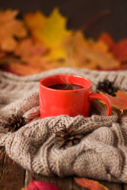 istock autumn still life with coffee cup 1342804911