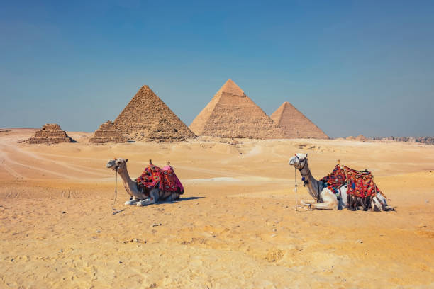 istock The Pyramids of Giza in Egypt 1342806344