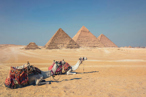 istock The Pyramids of Giza in Egypt 1342806438