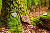 istock Funeral Heart sympathy. funeral heart near a tree. Natural burial grave in the forest. Heart on grass or moss. 1342807999