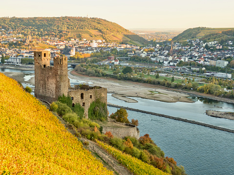 Uitzicht op Burg Ehrenfels met aan de overkant Bingen am Rhein, gefotografeerd vanaf Rüdesheim am Rhein