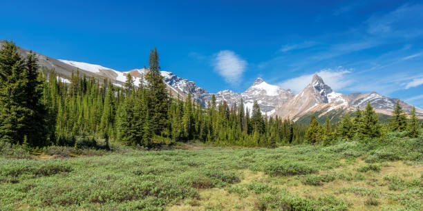 istock Canadian Rockies 1342810670