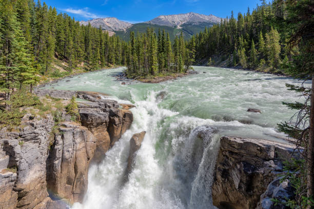 istock Sunwapta falls in Jasper National Park 1342810718