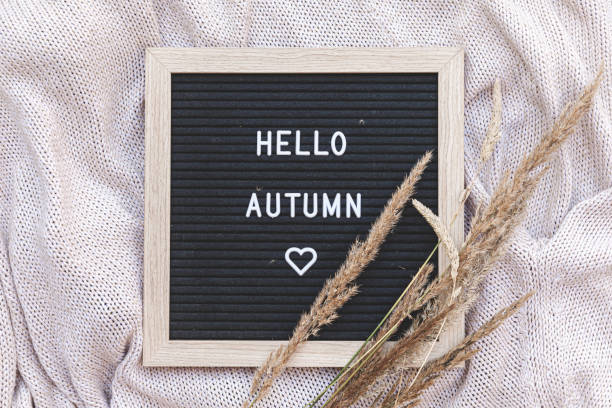 istock Autumnal Background. Black letter board with text phrase Hello Autumn and dried grass lying on white knitted sweater. Top view, flat lay. Thanksgiving banner. Hygge mood cold weather concept 1342810984