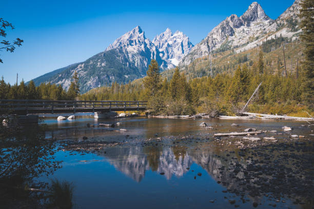 Beautiful String Lake in Grand Teton National Park in summer on a sunny day Beautiful String Lake in Grand Teton National Park in summer on a sunny day National Park in Pin Valley stock pictures, royalty-free photos & images