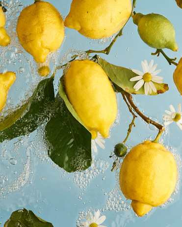 Yellow ripe lemons with leaves and chamomile  flowers water on blue background. Food photo pattern. Natural colors