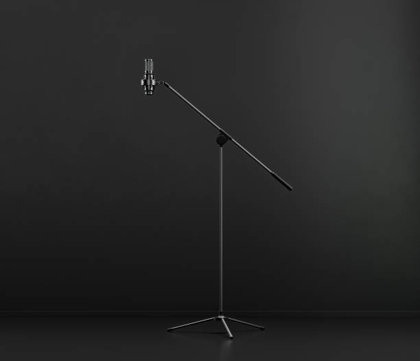 istock Music instriument, professional pedestal microphone in a dark studio, 3d rendering 1342817237